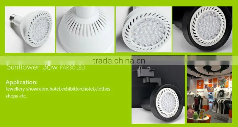 Everforwin High Power 36w Led Par30 Track Lighting 4100lmled Par30/led Track Light/led Sportlight