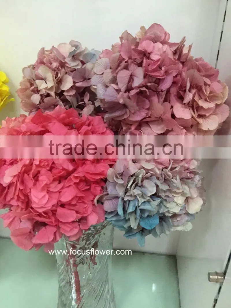 High Quality Fresh Preserved Flower Blue White Hydrangea Bouquet For Christmas