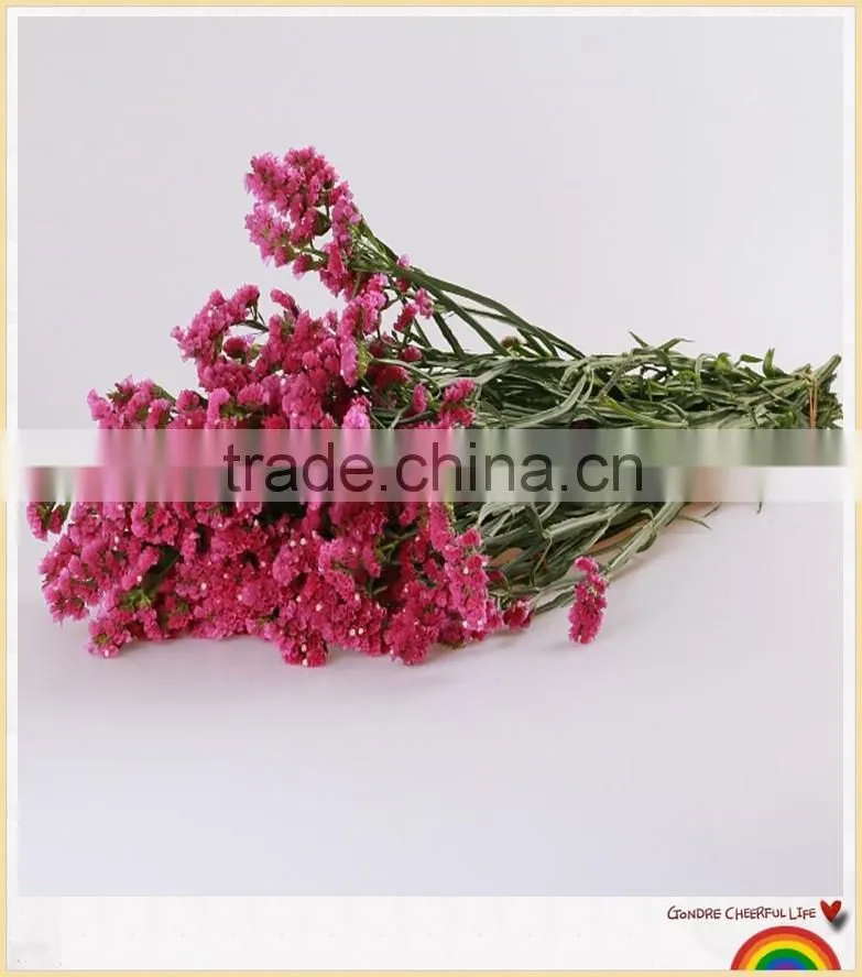 forget me not flower to make flower bouquets