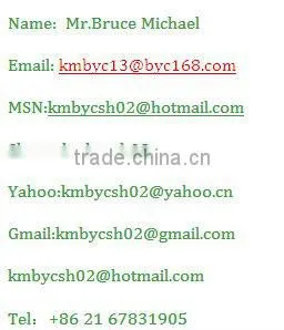 Christmas Promotion canvas printing machine