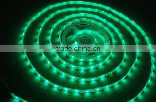 12V/24v 3528SMD 4.8W 5M CE Standard red color IP65 LED Strips