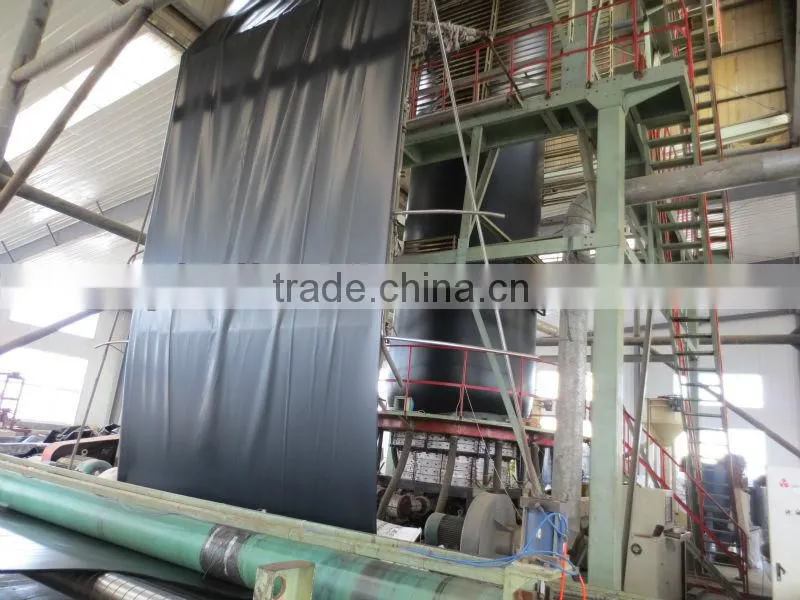 HDPE waterproof geomembrane/liner/sheet