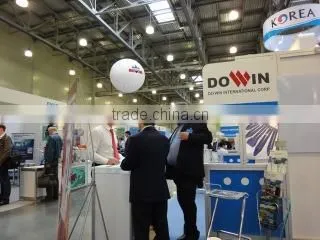 Dowin International Corp. company overview - view 3