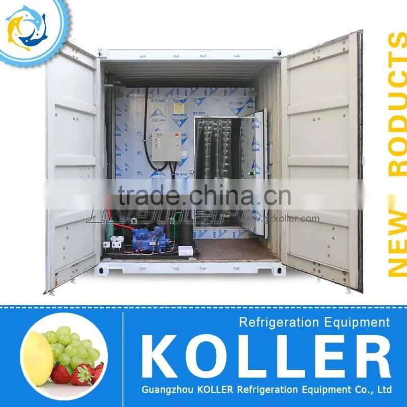 Commercial Modular Freezer Cold Room with 20CBM for Meat storage VCR20