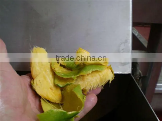 complete set of mango juice production plant