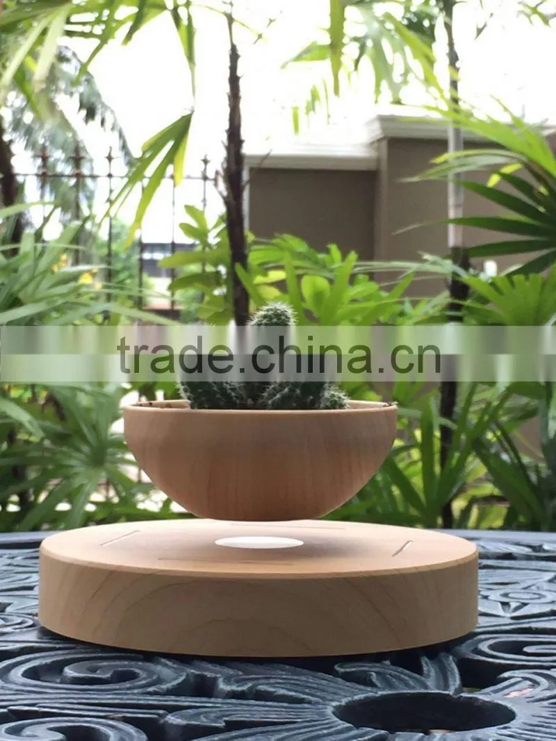 air bonsai pots air plant pots in China