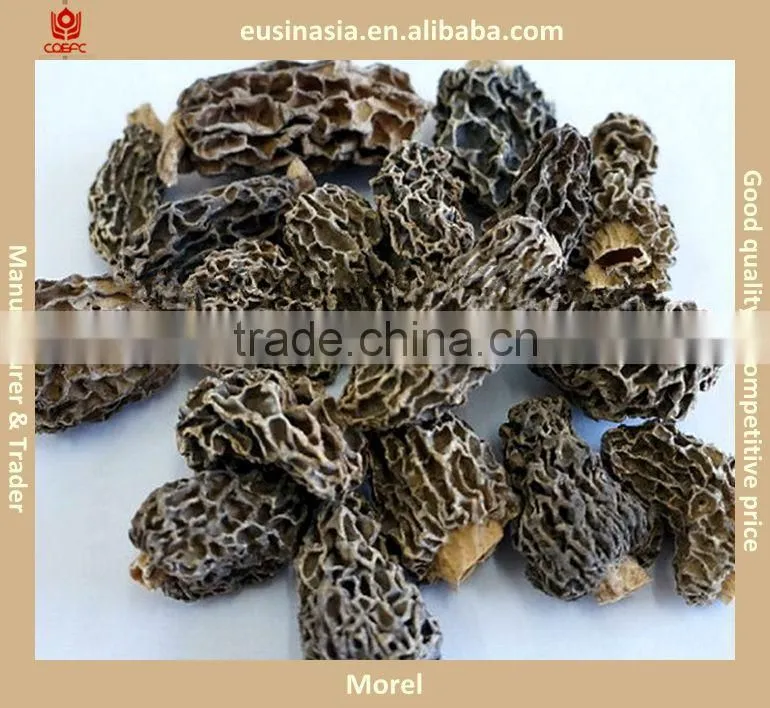 Truffles tartufi, Chinese truffle