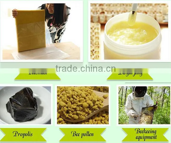 Top quality Raw Propolis Powder/Bee propolis on sale