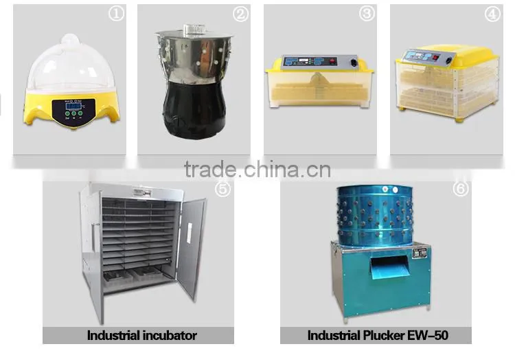 HHD CE Approved Full Automatic High Hatching Rate China Incubator(264 Eggs) For Sale EW-5