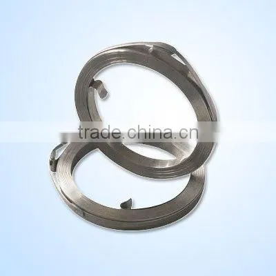 Precise flatl spring