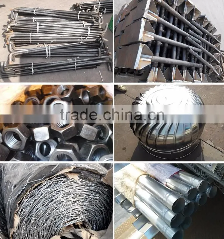 China Poultry Chicken Egg Poultry Farm