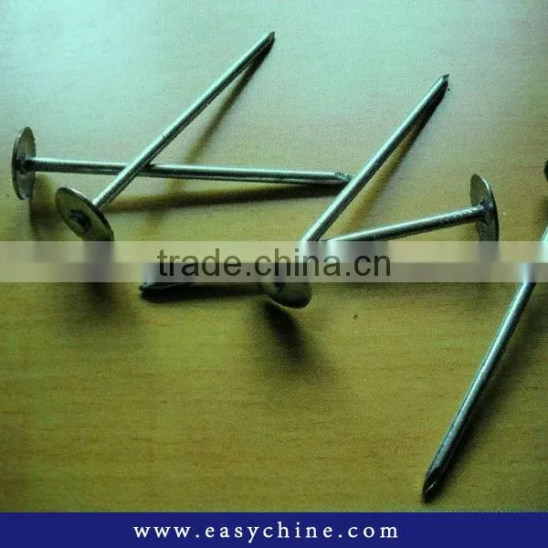 Types Of Stainless Steel Nail