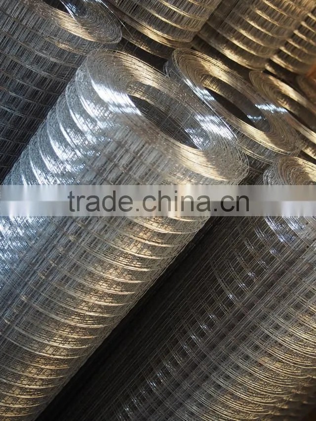 Welded Double Wire Mesh 6/5/6 25x200
