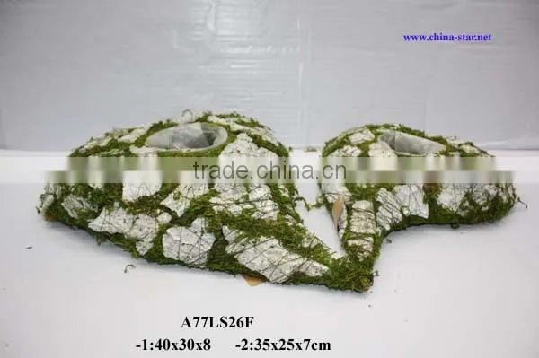 moss cushion with flower pot