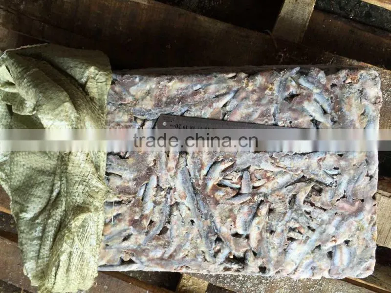 Fresh frozen small anchovy
