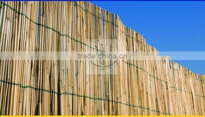 reed natural screening