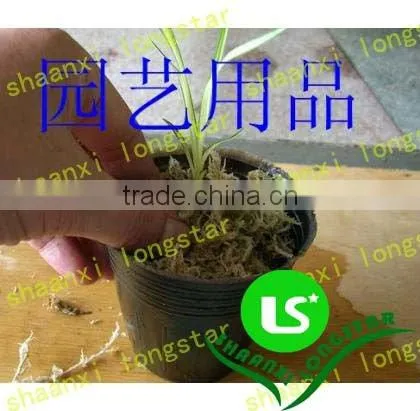 Plastic flower pots and planters