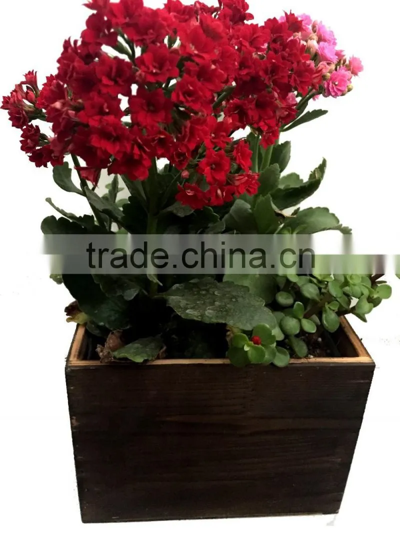 set of 2 flower pots, pots garden, wood plant pots