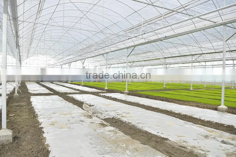 Large Green House Supplliers In China