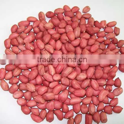 New Crop Chinese Raw Peanut In Shell 9/11