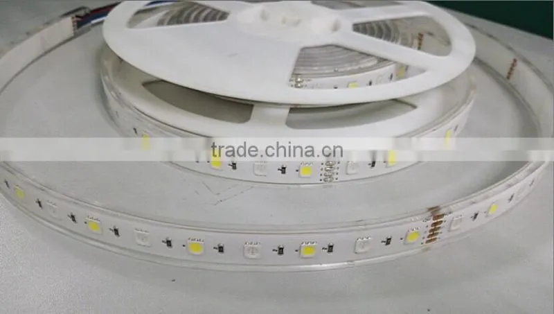 CE ROHS SMD5050 60leds/m RGB+W 12 volt led lighting