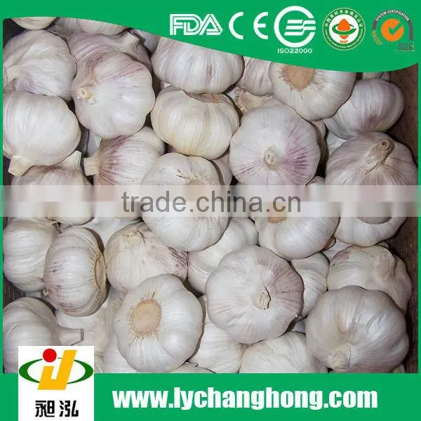 2015 new crop normal white garlic