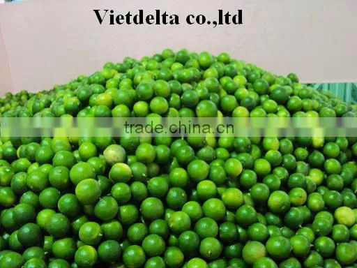 FRESH LEMON & lIME WITH BEST PRICE