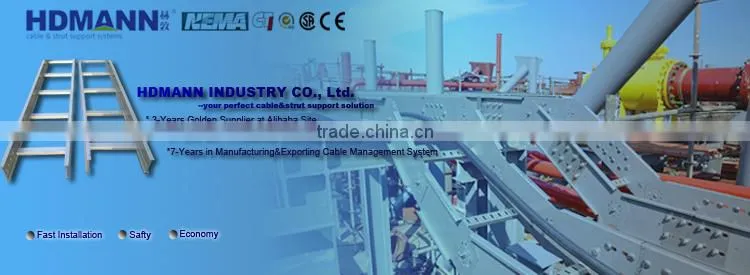 Standard size Electrical Polished Stainless Steel Cable tray Ladder