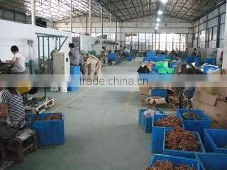 Shanghai Hamaka International Trade Co., Ltd. company overview - view 3