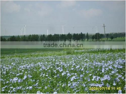 grape seed extract opc with high quality