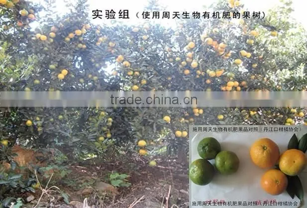 Powder Bio microbial amino acid chelate magnesium fertilizer trace element