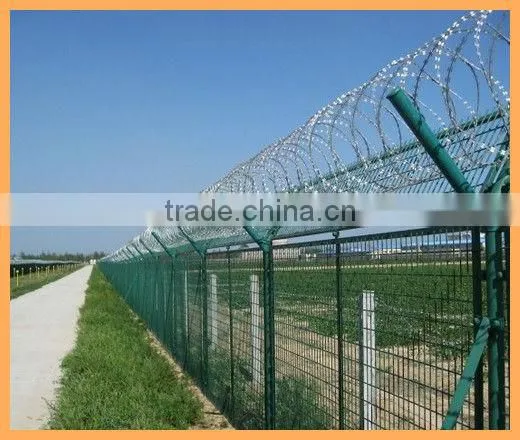 razor barbed wire/the hot sale building wire