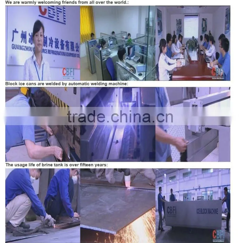 Automatic Containerized Block Ice Machine for Eating and Cooling