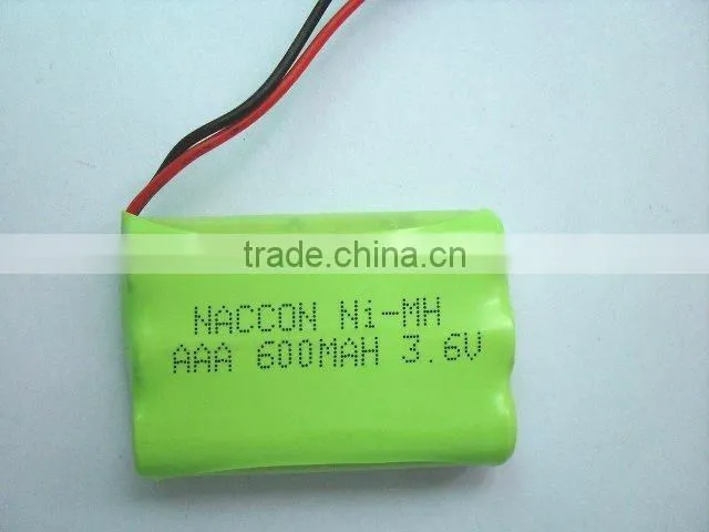 AAA NiMH Battery pack with 600mAh.dsds