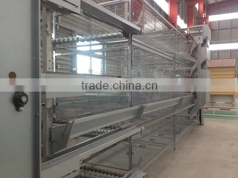 professional steel layer chicken cage equipments