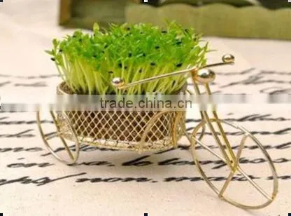 mini cans plant mini artificial plants decorative artificial plants