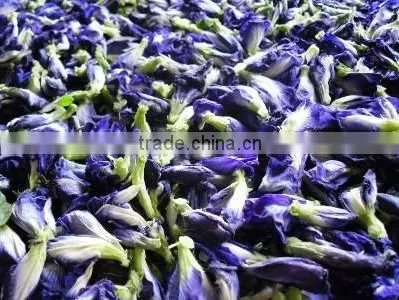 Dried Violet Butterfly Pea Flower Tea for Sale