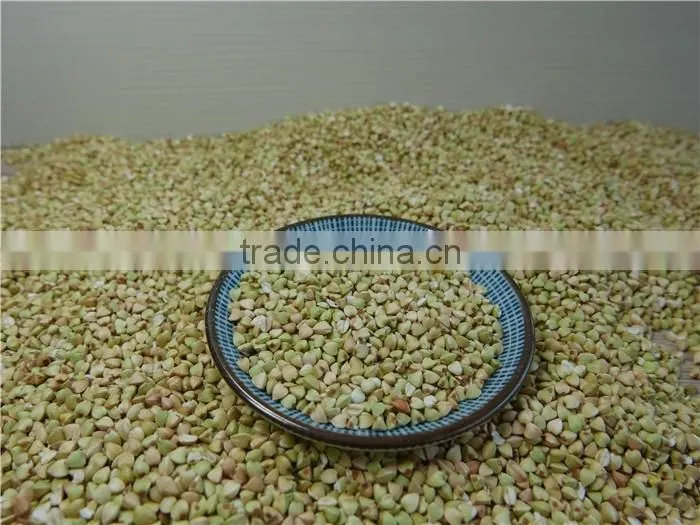 High Quality raw Sweet Buckwheat price