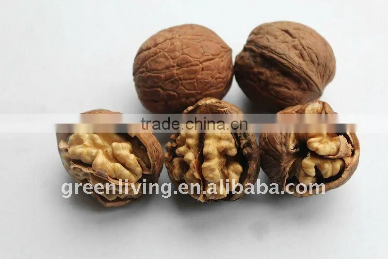 supplying 2012 fresh dried walnut of China