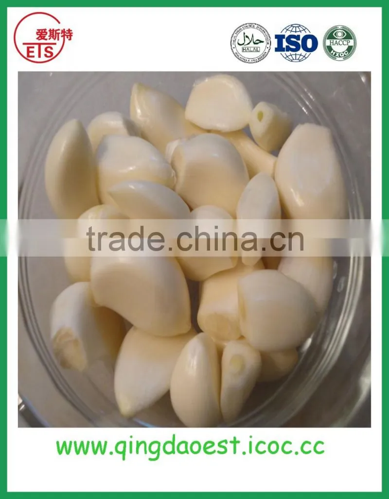 JNinxiang white garlic in mesh bag or carton