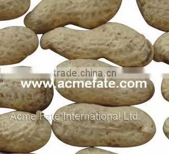 new production commom raw peanut kernels 25/29