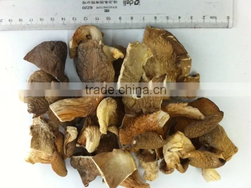 dried oyster mushroom for sale oyster mushrooms 1kg dry