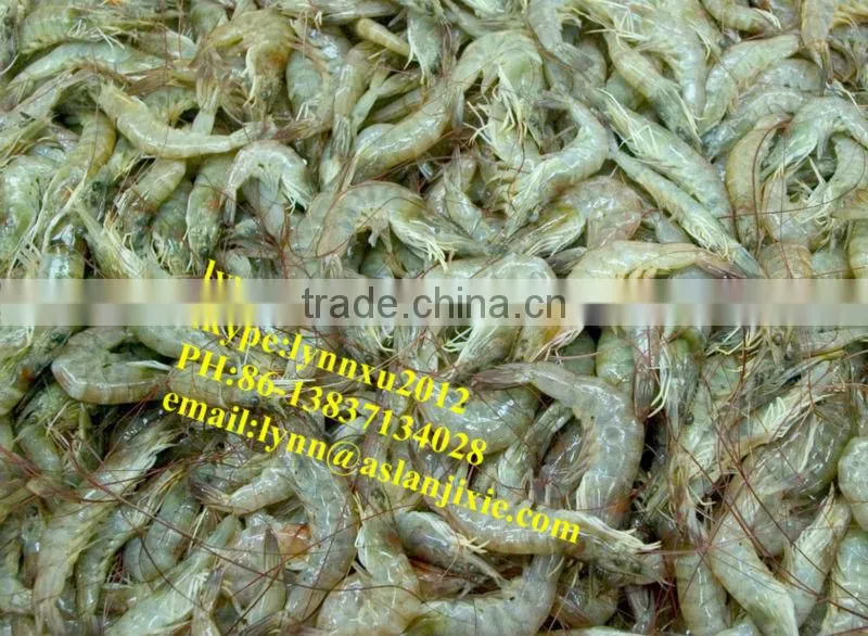 shrimp grading machine/automatic Prawn grader