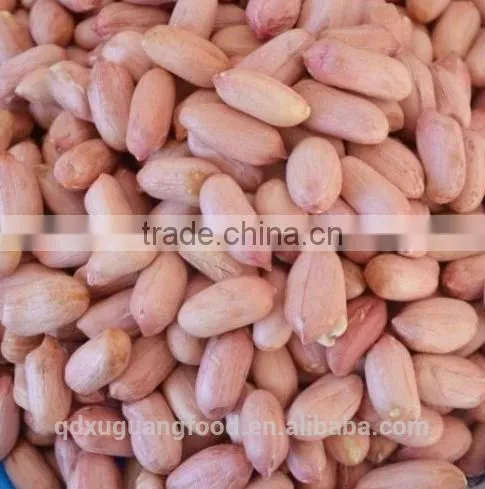 bold blanched peanut kernel 70/80