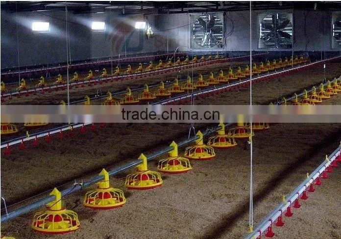 broiler feeder