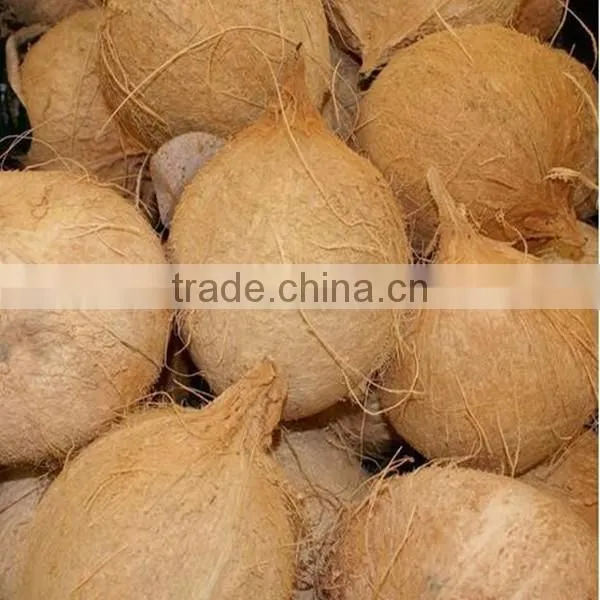 coconut shelling machine coconut shell removing machine/coconut sheller