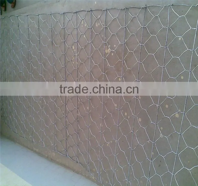 Galvanized Welded Gabion Cage/Welded Gabion Basket/Welded Gabion Mesh (Factory)