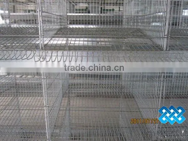 Chicken Cages/layer Chicken cage