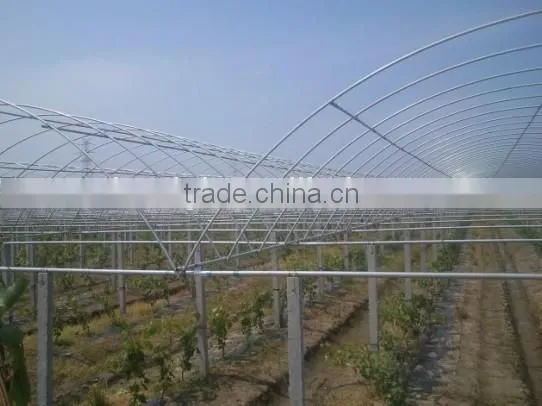 UV protect anti fog Transparent Coextruded PE Cover Film PE mulch film for grape greenhouse
