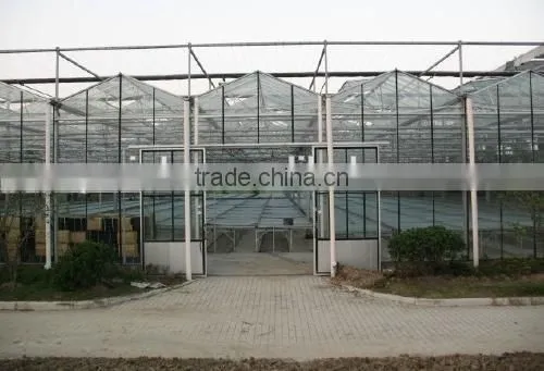 Steel structure stable constant temperature glass greenhouse automation